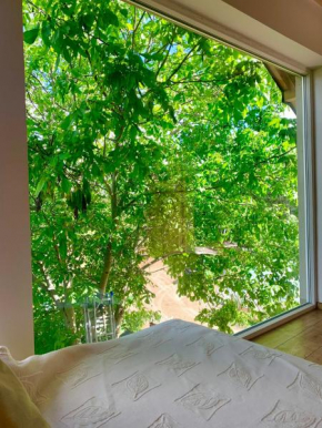 Apartament orzechowy superior z balią, Mragowo